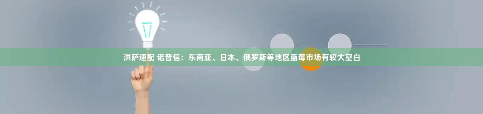 洪萨速配 诺普信：东南亚、日本、俄罗斯等地区蓝莓市场有较大空白
