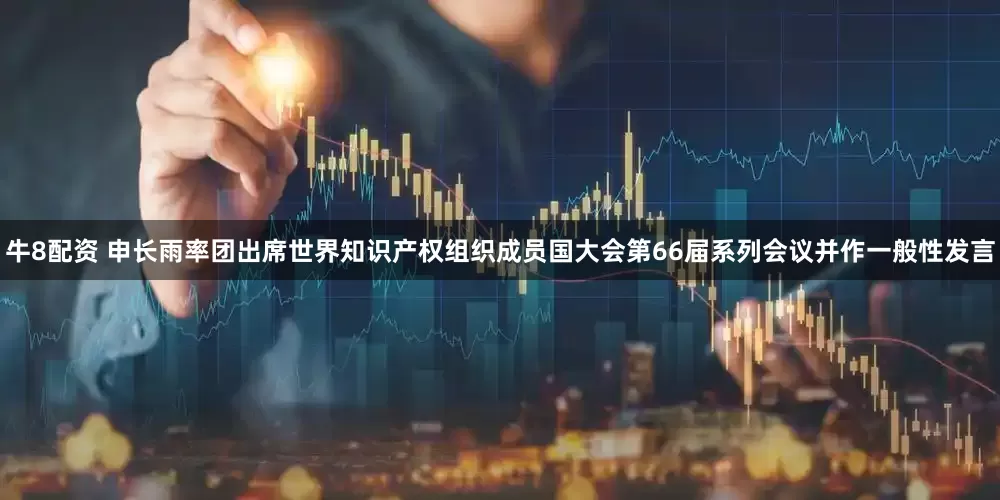 牛8配资 申长雨率团出席世界知识产权组织成员国大会第66届系列会议并作一般性发言