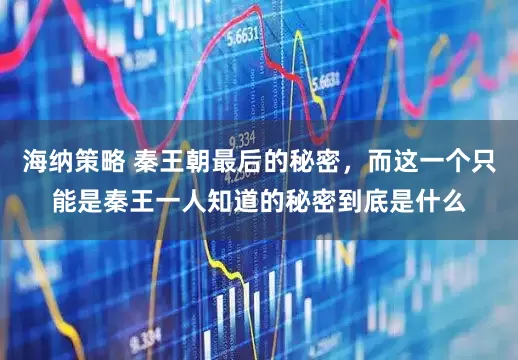 海纳策略 秦王朝最后的秘密，而这一个只能是秦王一人知道的秘密到底是什么